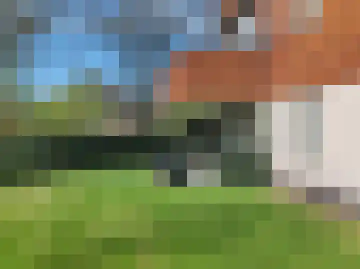 Elzingapark 3 Laren thumbnail 27