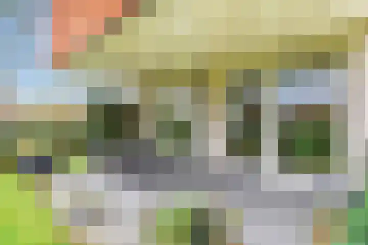 Elzingapark 3 Laren thumbnail 5