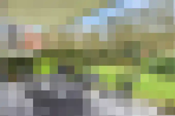 Elzingapark 3 Laren thumbnail 6