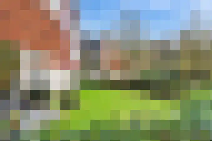 Elzingapark 3 Laren thumbnail 7