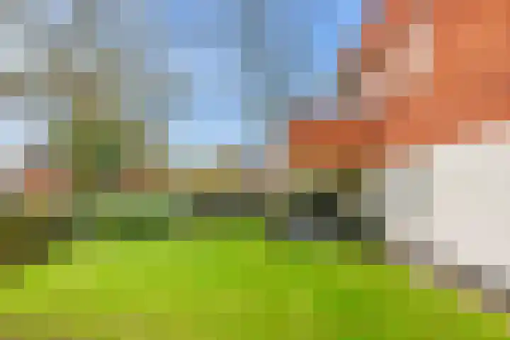 Elzingapark 3 Laren thumbnail 8
