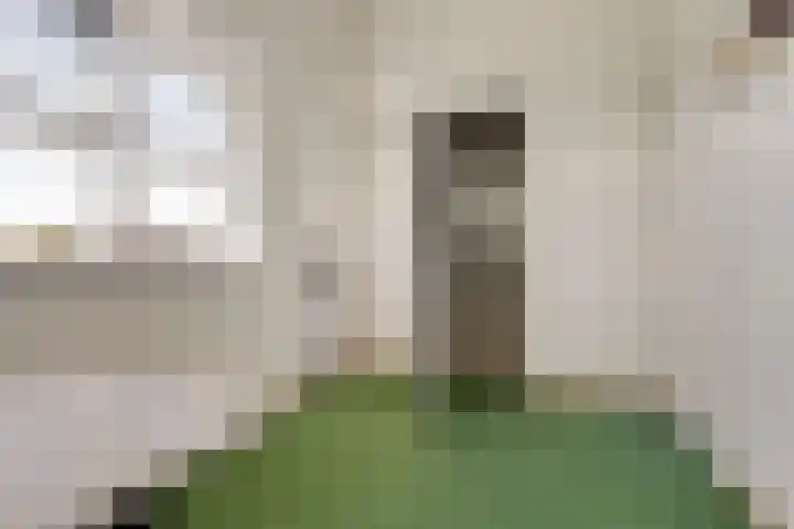Emeraldpad 22 Rosmalen thumbnail 32