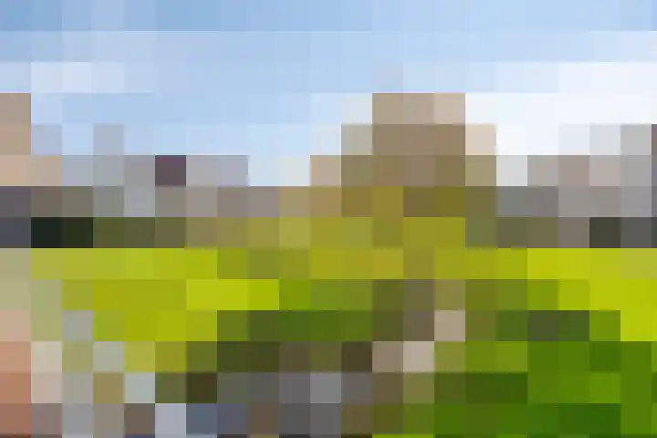Emeraldpad 22 Rosmalen thumbnail 39