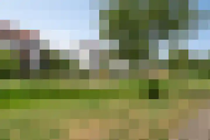 Emeraldpad 50 Rosmalen thumbnail 38