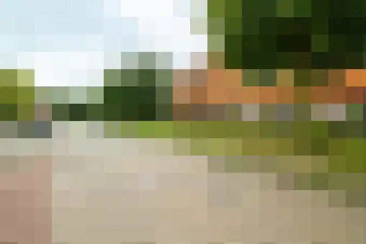 Emily Brontësingel 115 Arnhem thumbnail 38