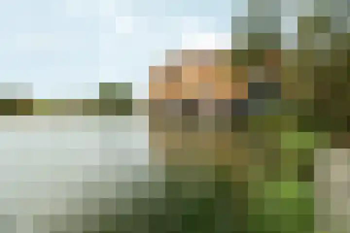 Emily Brontësingel 115 Arnhem thumbnail 40
