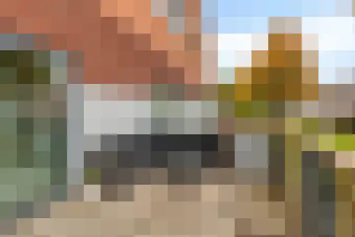 Emily Brontësingel 117 Arnhem thumbnail 16