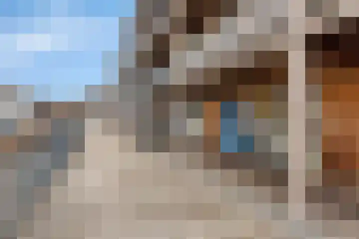 Emily Brontësingel 117 Arnhem thumbnail 5