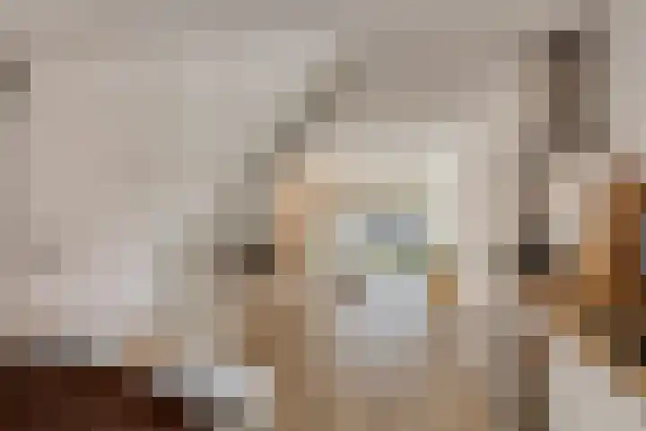 Emily Brontësingel 117 Arnhem thumbnail 9