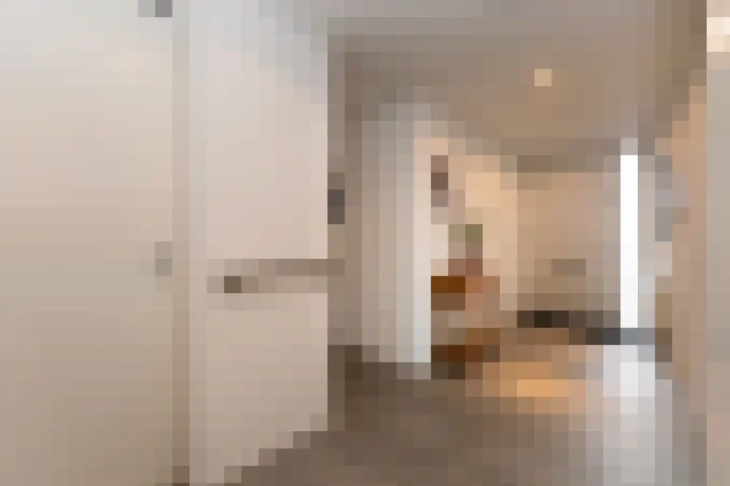 Emily Brontësingel 245 Arnhem thumbnail 18