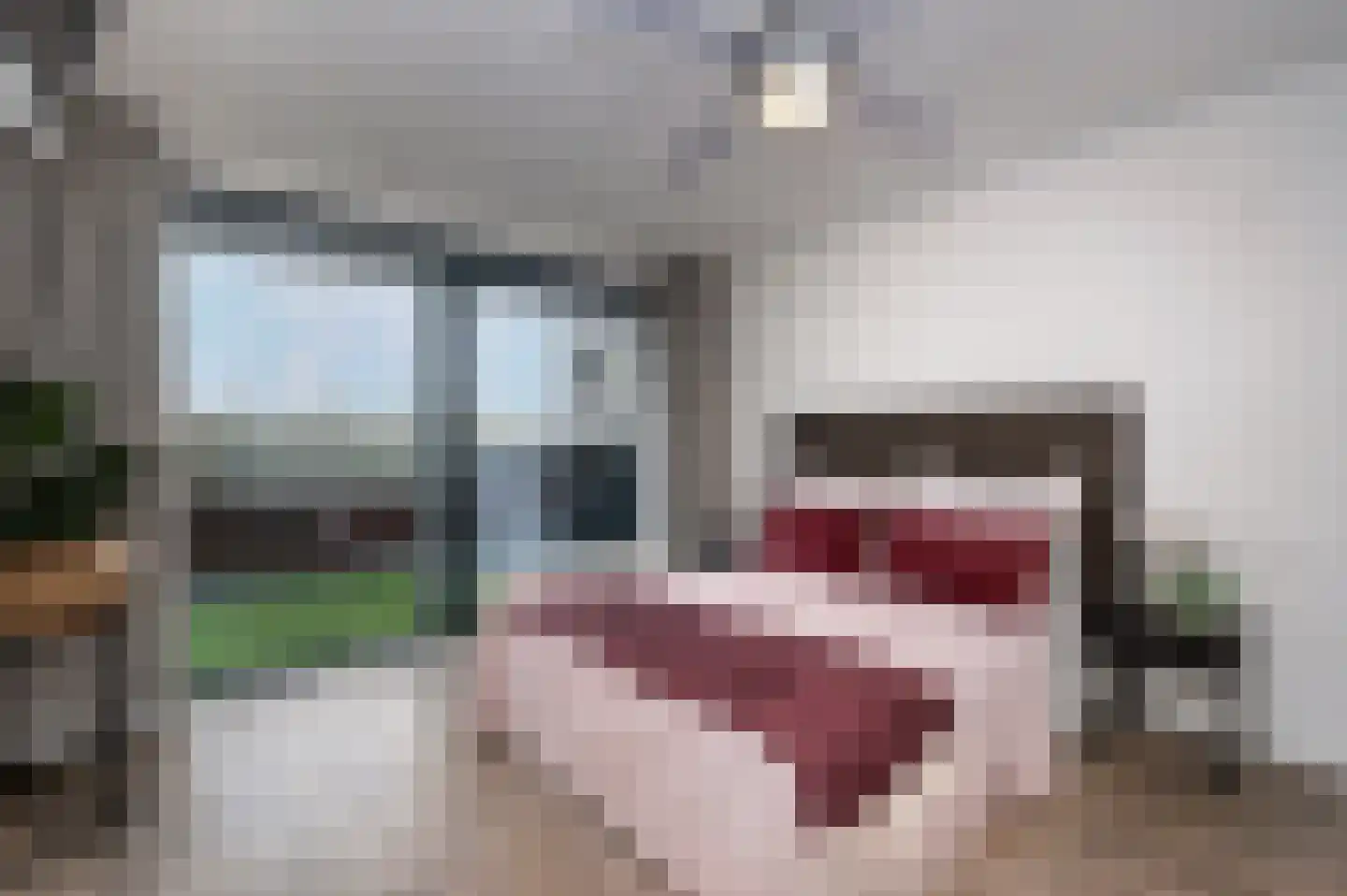 Emily Brontësingel 245 Arnhem thumbnail 20