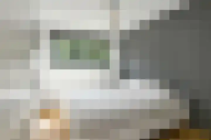 Emily Brontësingel 39 Arnhem thumbnail 18