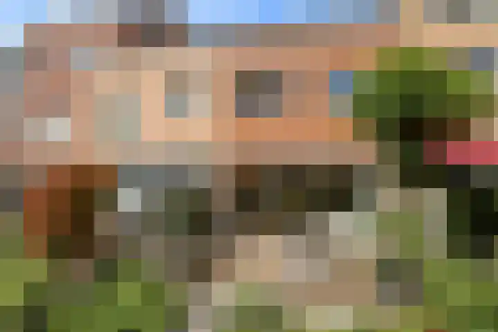 Emily Brontësingel 39 Arnhem thumbnail 43