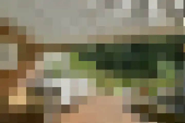 Emily Brontësingel 39 Arnhem thumbnail 45