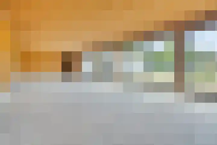 Emmabaan 62 Koewacht thumbnail 10
