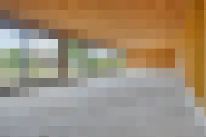 Emmabaan 62 Koewacht thumbnail 11