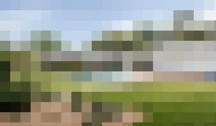 Emmabaan 62 Koewacht thumbnail 23
