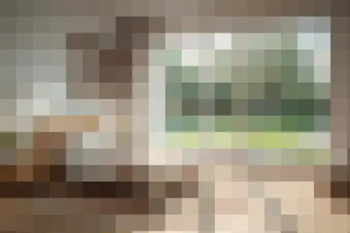 Emmabaan 62 Koewacht thumbnail 4
