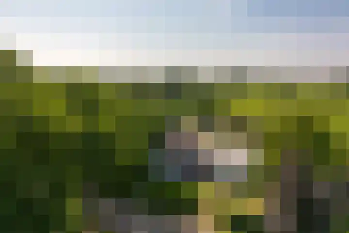 Emmabaan 62 Koewacht thumbnail 5