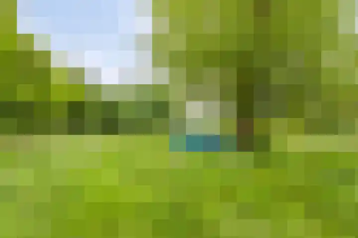 Emmabaan 62 Koewacht thumbnail 9