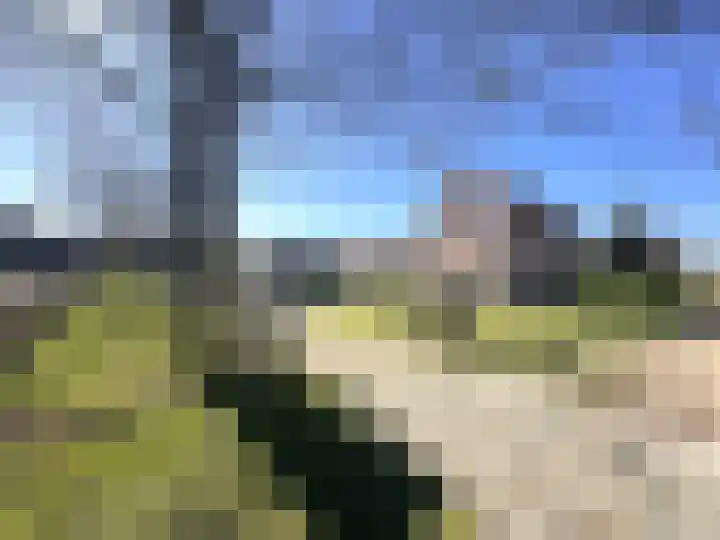 Emmabaan 98 Koewacht