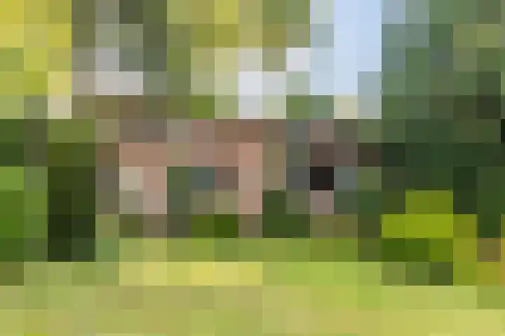 Emmaberg 16 Valkenburg thumbnail 28