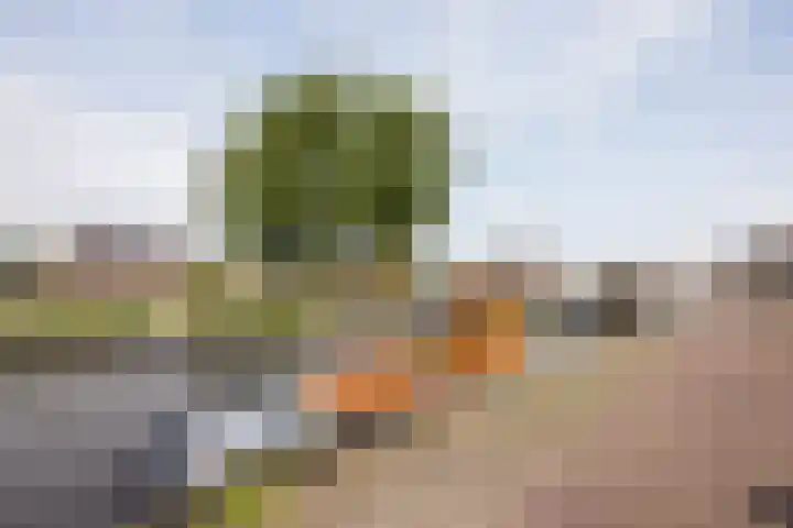 Emmabuert 3 Workum thumbnail 23