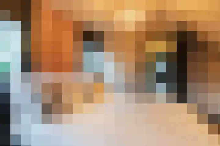 Emmakade 1 Bodegraven thumbnail 46