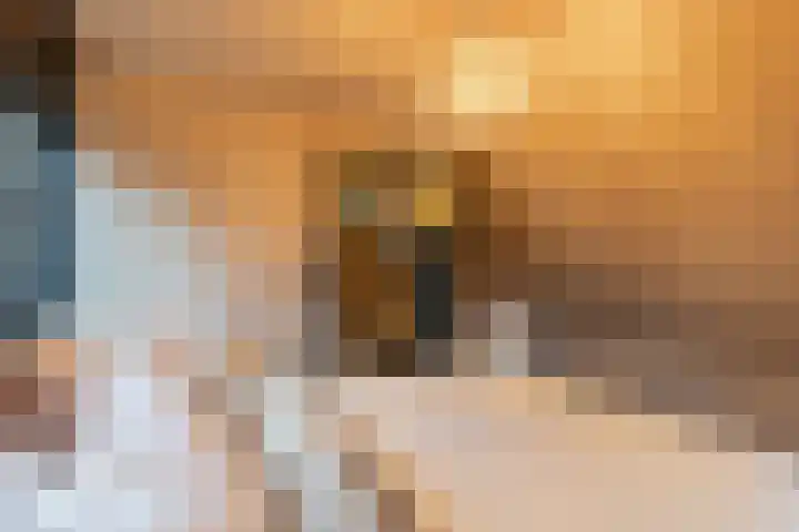 Emmakade 1 Bodegraven thumbnail 50