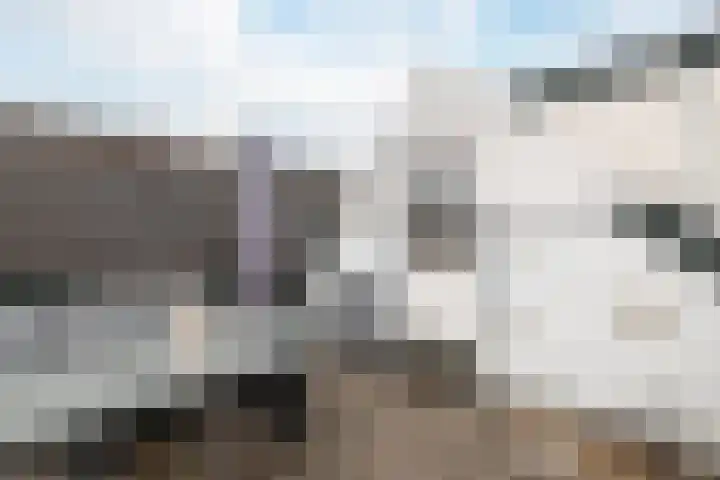 Emmakade 1 Bodegraven thumbnail 54