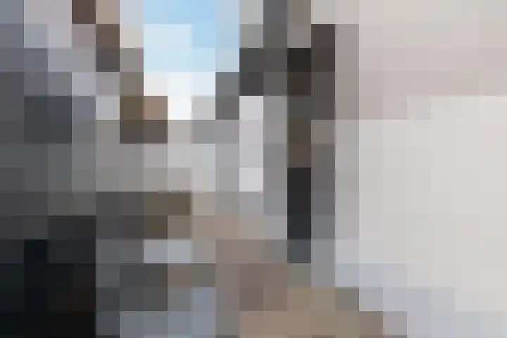 Emmakade 1 Bodegraven thumbnail 59
