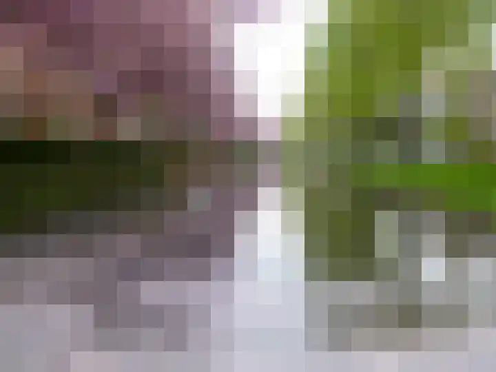 Emmakade 1 Bodegraven thumbnail 64