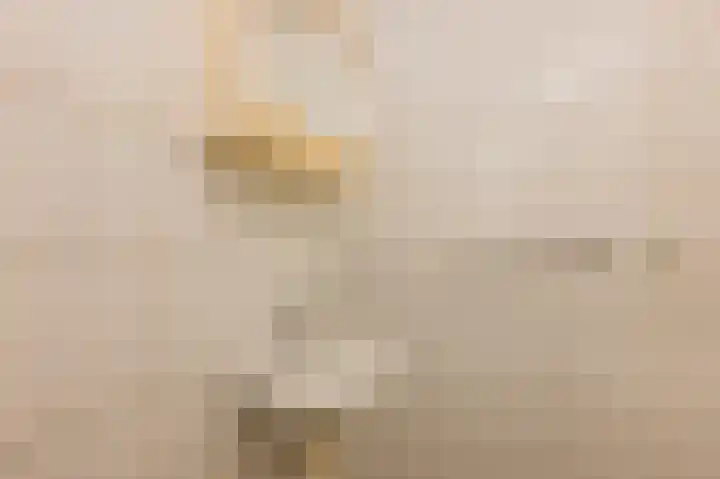Emmakade 25 Bodegraven thumbnail 23