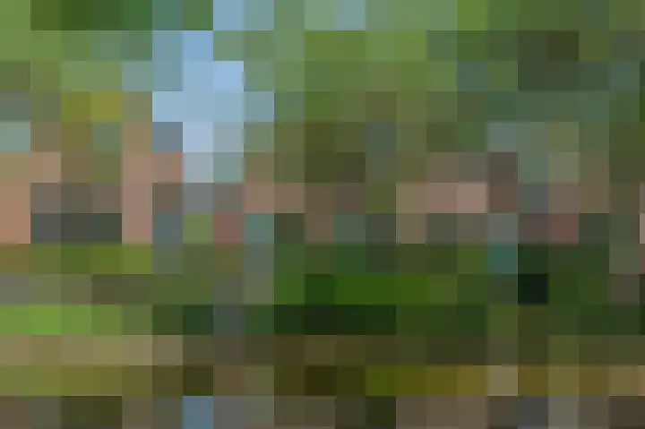 Emmakade 25 Bodegraven thumbnail 39