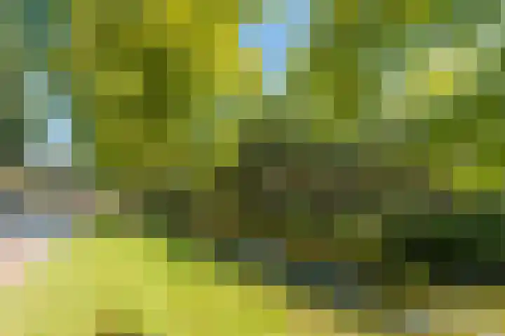 Emmakade 25 Bodegraven thumbnail 41