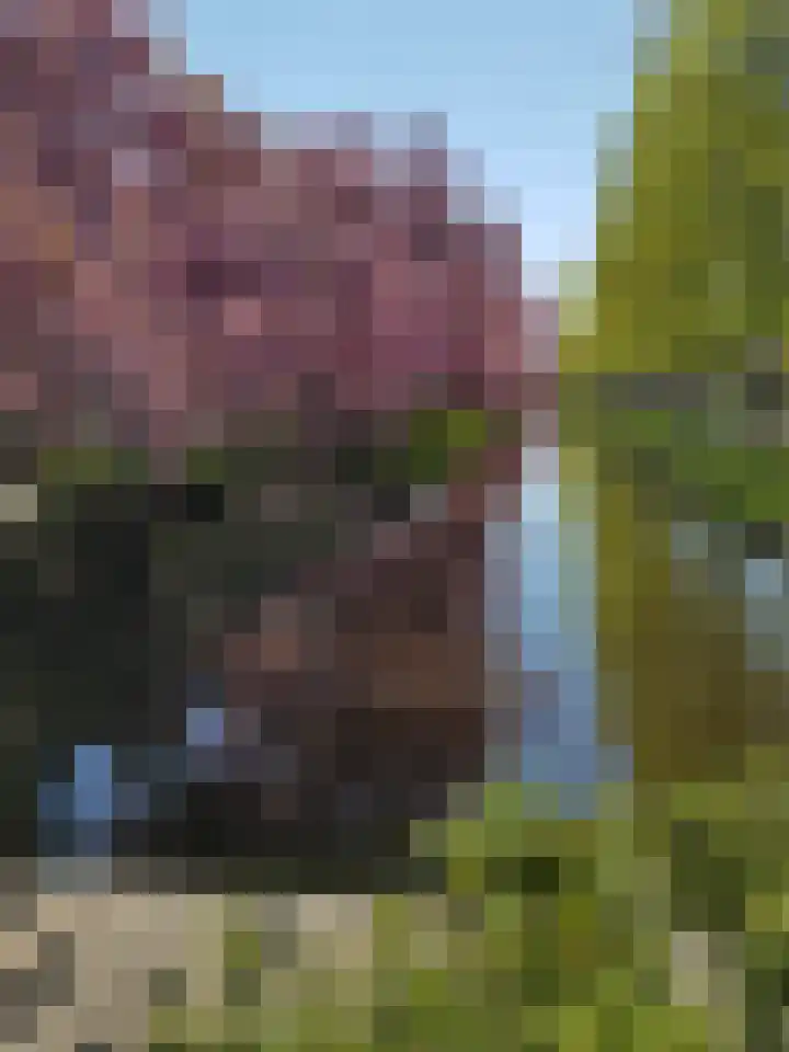 Emmakade 25 Bodegraven thumbnail 42