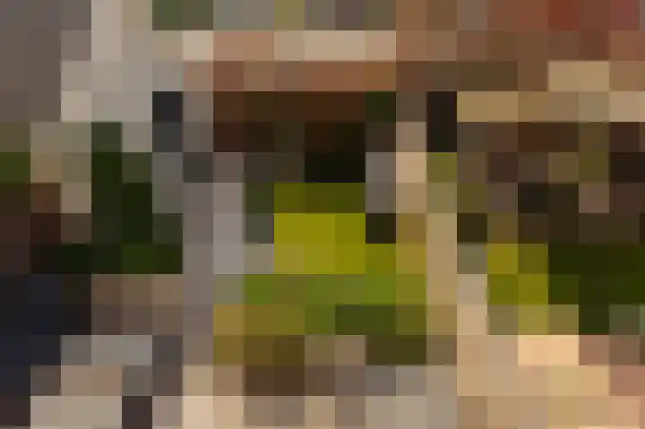 Emmakade 4 Amstelveen thumbnail 19