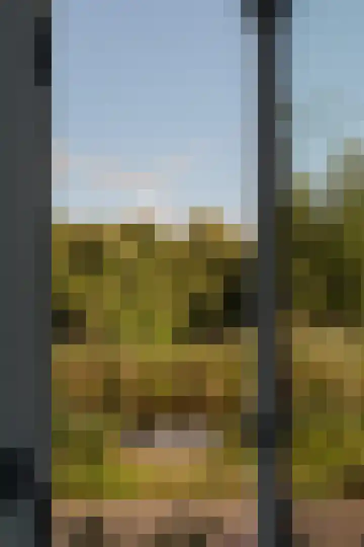 Emmakade 4 Amstelveen thumbnail 27