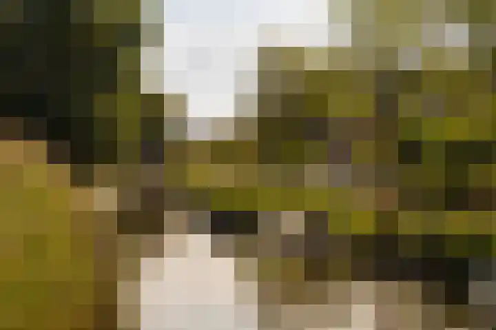 Emmakade 4 Amstelveen thumbnail 59