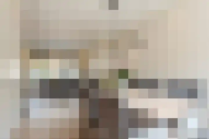 Emmakade 66 Boskoop thumbnail 16