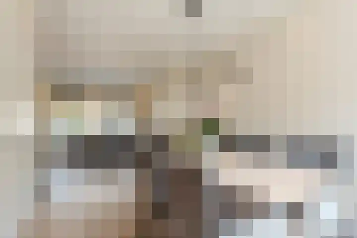 Emmakade 66 Boskoop thumbnail 17