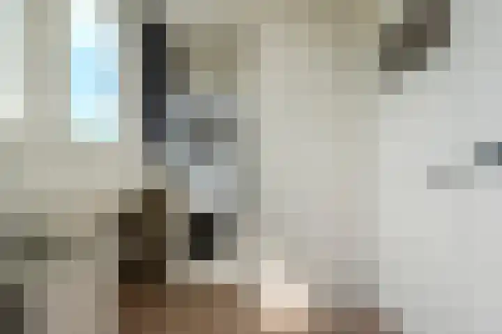 Emmakade 66 Boskoop thumbnail 26