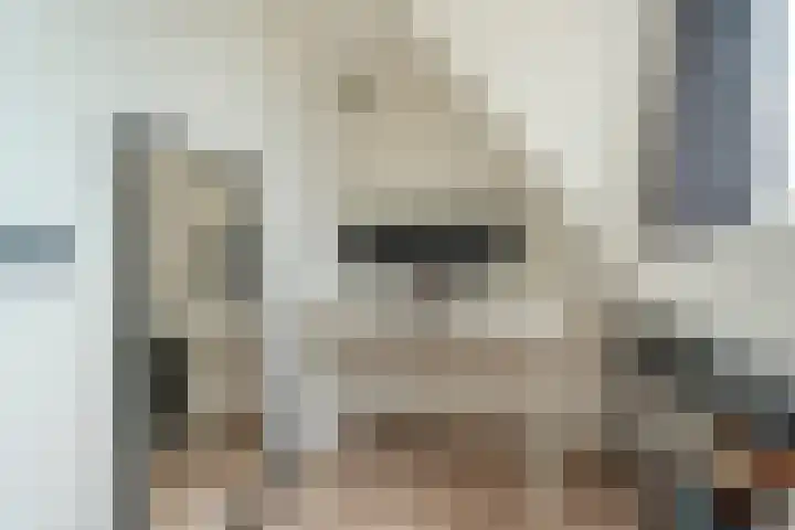 Emmakade 66 Boskoop thumbnail 27