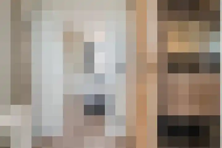 Emmakade 66 Boskoop thumbnail 31