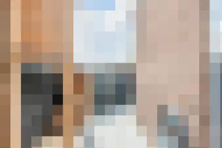 Emmakade 66 Boskoop thumbnail 37