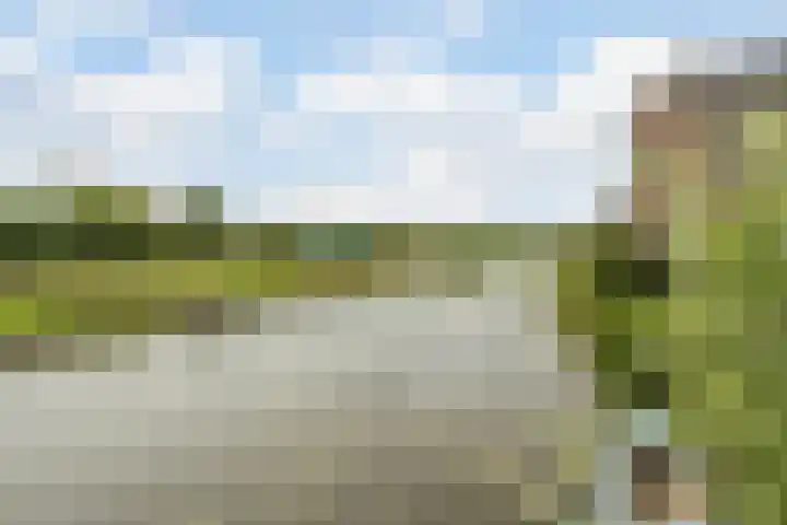 Emmakade 66 Boskoop thumbnail 46