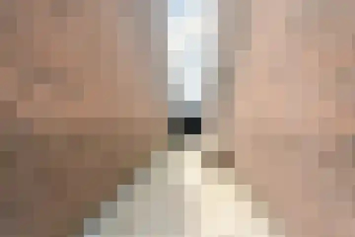 Emmakade 66 Boskoop thumbnail 5