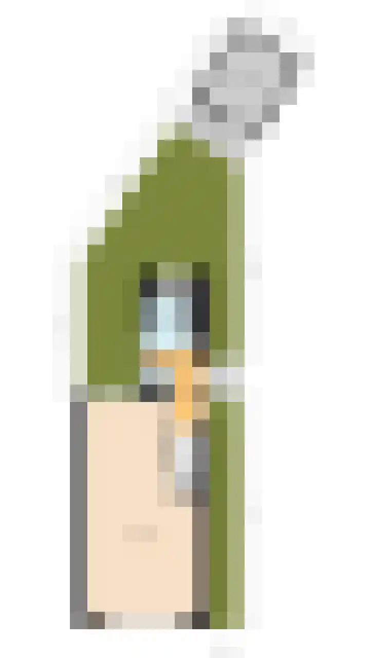 Emmakade 66 Boskoop thumbnail 52