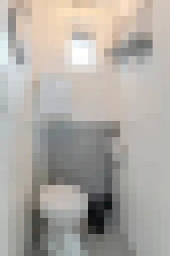 Emmakade 66 Boskoop thumbnail 6