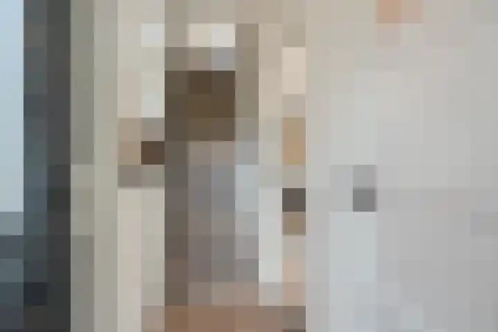 Emmakade 66 Boskoop thumbnail 7